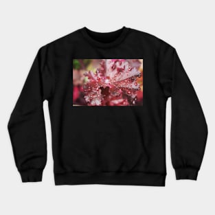 Ruby Red Heuchera Crewneck Sweatshirt